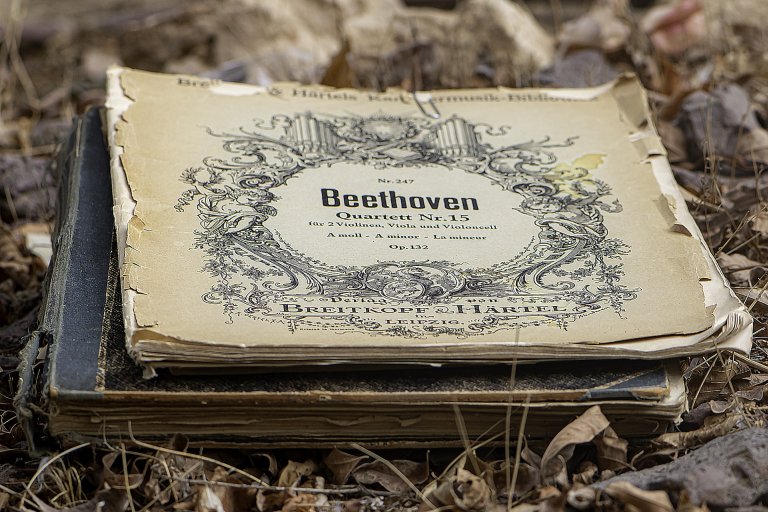 Nah-Aufnahme eines älteren Buches, auf dem "Beethoven Quartett" steht.
